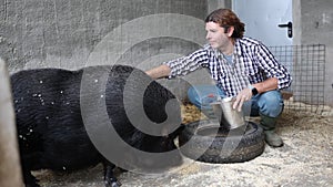 Male farmer sitting and feeding pig