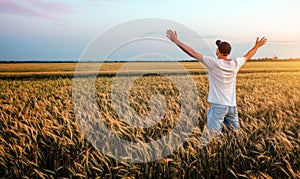 Male farmer standing in a wheat field during sunset. Man Enjoys Nature