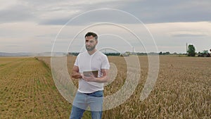 Male farmer with tablet computer in wheat field walking and checking wheat quality