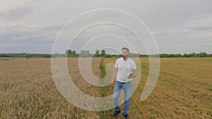 Male farmer with tablet computer in wheat field walking and checking wheat quality