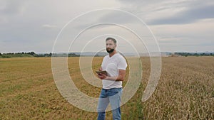 Male farmer with tablet computer in wheat field walking and checking wheat quality