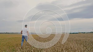 Male farmer with tablet computer in wheat field walking and checking wheat quality