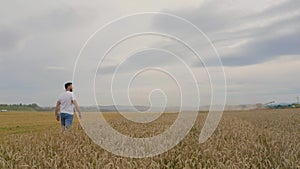 Male farmer with tablet computer in wheat field walking and checking wheat quality