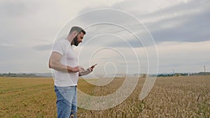 Male farmer with tablet computer in wheat field walking and checking wheat quality