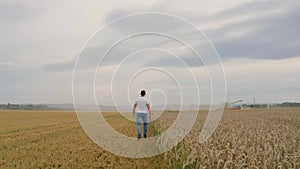 Male farmer with tablet computer in wheat field walking and checking wheat quality