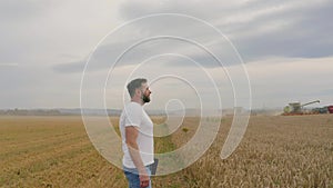 Male farmer with tablet computer in wheat field walking and checking wheat quality