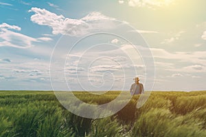 Male farmer walking through a green wheat field