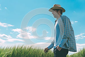 Male farmer walking through wheat field