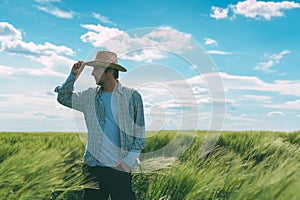 Male farmer walking through wheat field