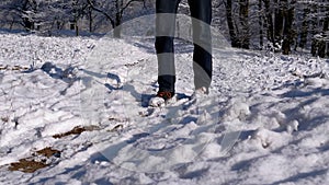 Male Feet in Boots Walk along a Snowy Path, by Snowdrifts in a Winter Forest