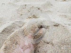 male feet and toes in sand on beach