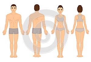 Male and female body chart