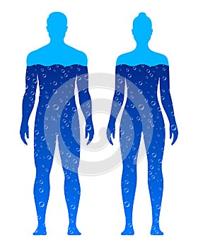 Male and female body filled with blue water, vector illustration, isolated on white background.