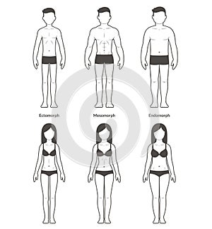 Male and female body types