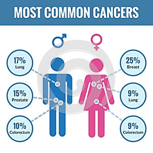 Male and female cancer infographics