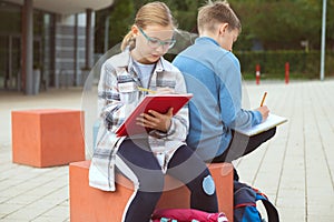 Male and female classmates studying in the school yard