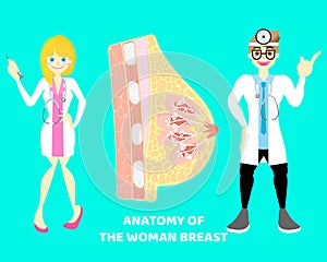 male and female doctor with human breast mammary nipple, internal organs anatomy body part nervous system