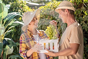 Male and female farmers holding basket with clusters of ripe grapes