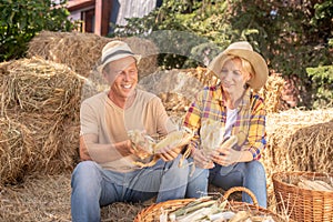 Male and female farmers shucking corn cobs