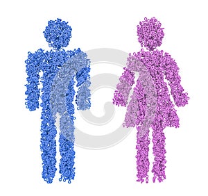 Male female gender figures