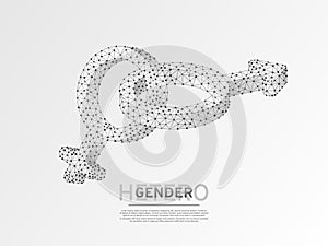 Male and female gender symbols Wireframe digital 3d Low poly men and women hetero-sexuality Abstract Vector origami LGBT