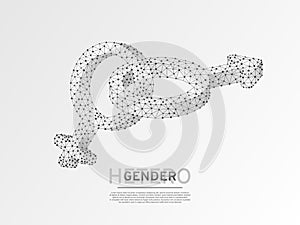 Male and female gender symbols Wireframe digital 3d Low poly men and women hetero-sexuality Abstract Vector origami LGBT photo