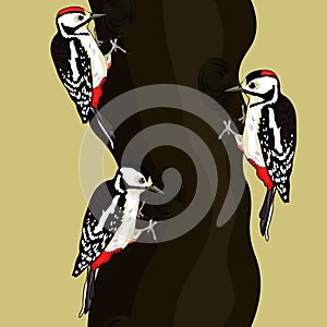 male female great spotted woodpecker young on tree vector illustration