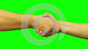 Male and female hands handshaking isolated