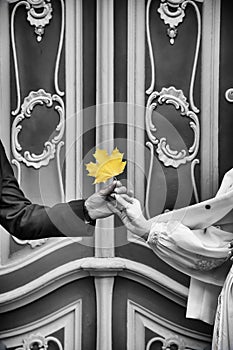 Male and female hands holding a yellow maple leaf on the black and white background