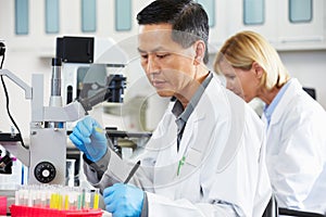 Male And Female Scientists Using Microscopes In Laboratory