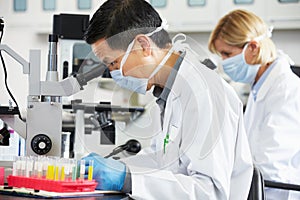 Male And Female Scientists Using Microscopes In Laboratory