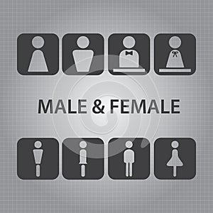 Male and Female Signs Vector photo