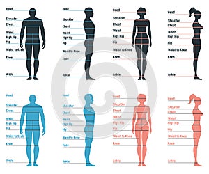 Male and female size chart anatomy human character, people dummy front and view side body silhouette, isolated on white, flat