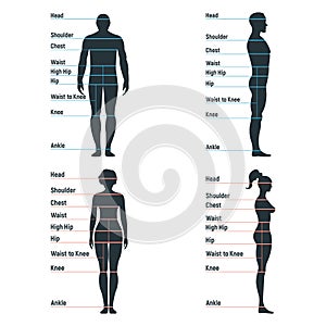 Male and female size chart anatomy human character, people dummy front and view side body silhouette, isolated on white, flat
