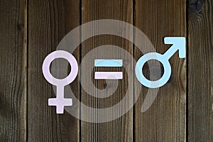 Male and female symbols cut out of paper and an equal sign on a wooden background. the concept of gender equality