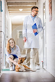 male and female vets with dog