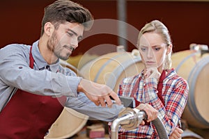 Male and female workers in wine cellar