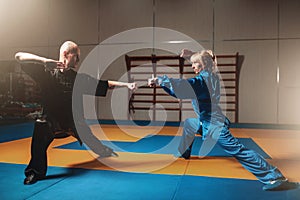 Male and female wushu fighters exercises indoor