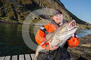 Male fisherman holding a huge fish Cod
