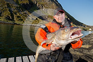 Male fisherman holding a huge fish Cod