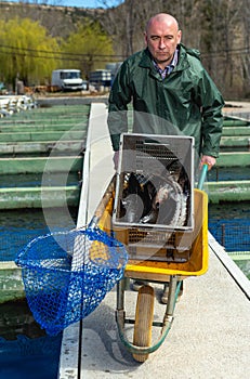 Male fishing sturgeon