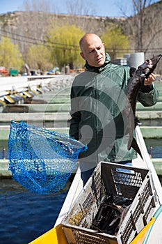 Male fishing sturgeon