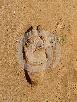 Male footprint on the sea