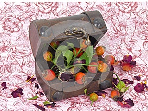 A male in the forest, rose hips