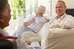 Male Friends Socializing At Home photo