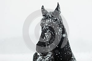 Male Friesian horse has a head full of falling snowflakes