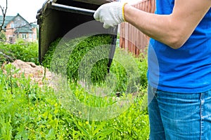 A male gardener with a container with cut grass in his hands, a close-up