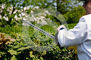 A male gardener cuts a hedge, carefully shaping the top of large green bushes with an electric edger. The concept of