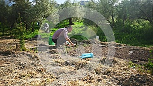 Male gardener farmer preparing the soil for plantings saplings and sowing seeds