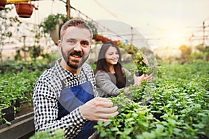 Male gardener helping customer to choose right flowers and seedlings for her garden. Small greenhouse business.